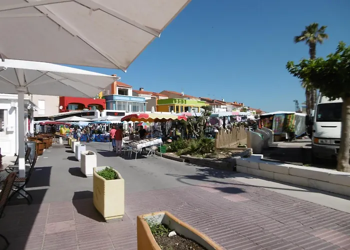 T3 Provençal Avec Parking Et Animaux Admis, à 700m De La - Fr-1-799-54 * Le Barcarès